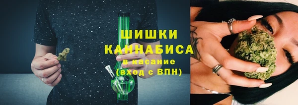 хмурый Богородицк