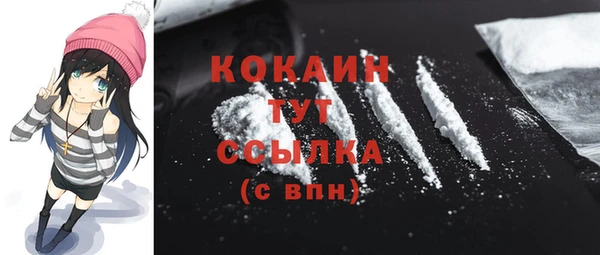 хмурый Богородицк