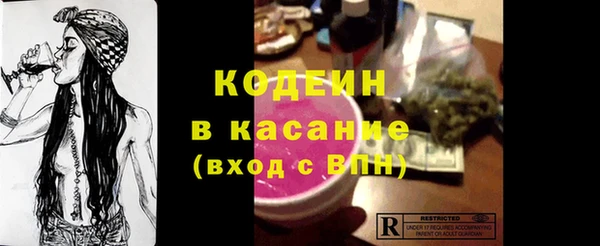 хмурый Богородицк