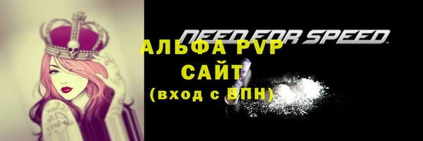 метадон Богданович