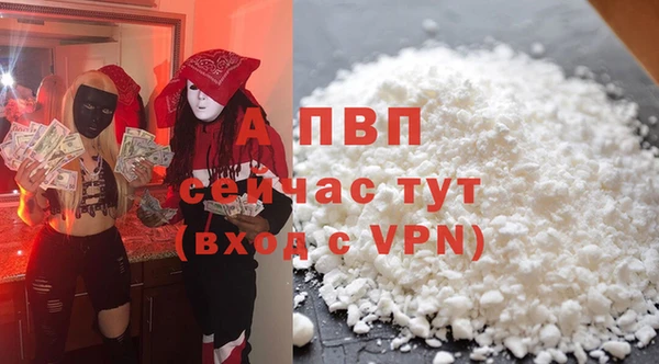 эйфоретик Куртамыш