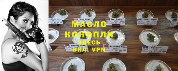 метадон Богданович
